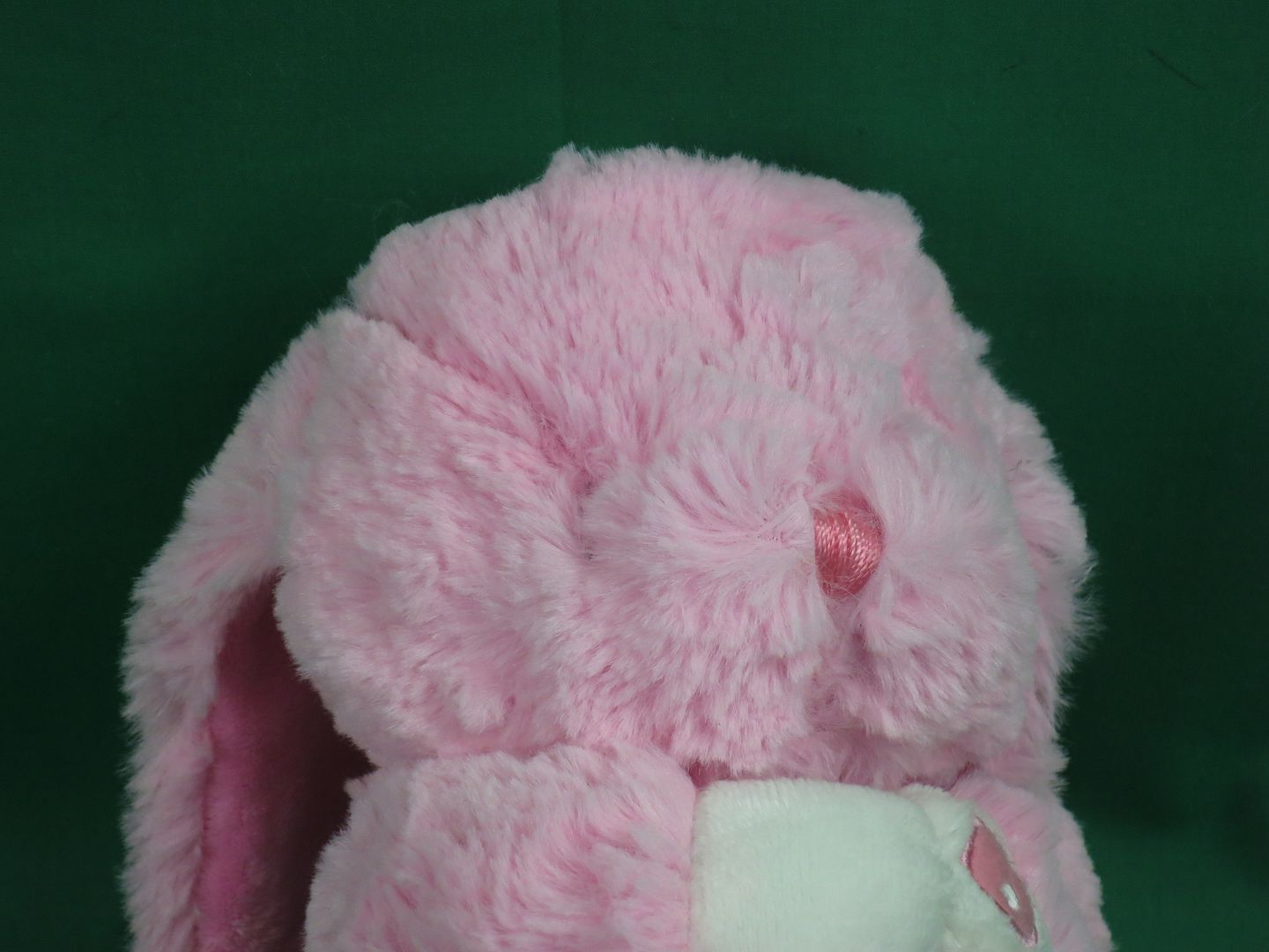 prayer bunny stuffed animal